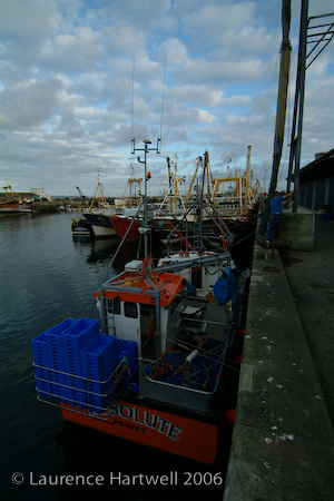 S2pro2005_1009BT